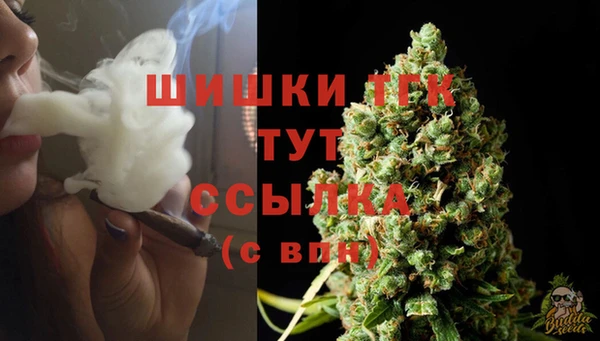 меф Корсаков