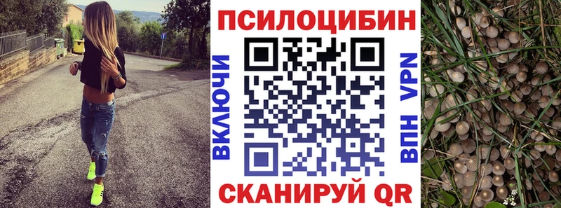 Галлюциногенные грибы Magic Shrooms  Купить  Губкинский 